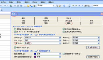 Project中的工期格式默认为中文,能否改成英文的