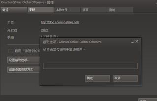 csgo启动选项填什么