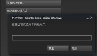 csgo设置启动项在哪里