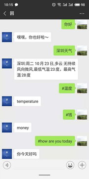 微信自动发消息机器人易语言