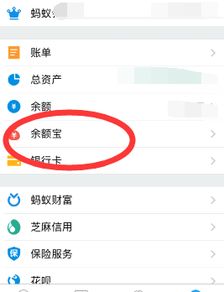 为什么没有多多钱包