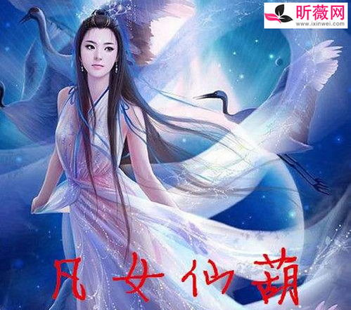 经典20部完结女主修仙文2023