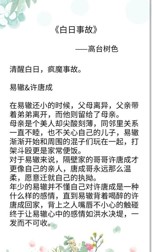 双男主,破镜重圆文推荐, 小行星 违章处理 白日事故