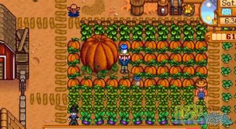 stardewvalley动物要多久才能怀孕 星露谷物语怎么让牲畜怀孕 