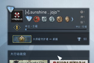 csgo40个军衔等级及中文名称