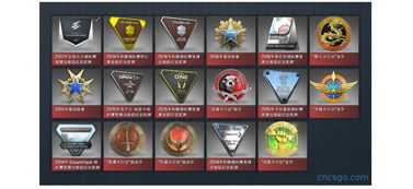 csgo忠诚徽章如何获得徽章怎么得