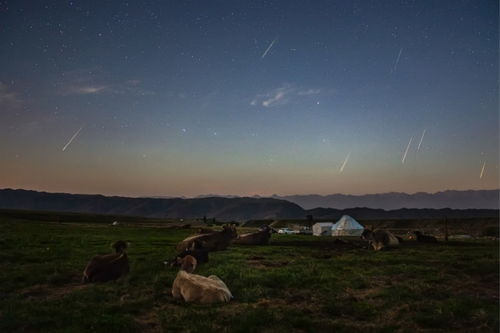 英仙座流星雨来袭,教你如何拍出绚丽的流星雨大片 