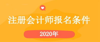 2023年什么专业可以报考注册会计师