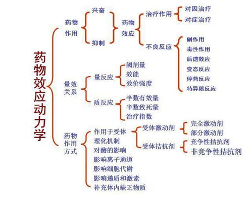 药物效应动力学及其受体理论