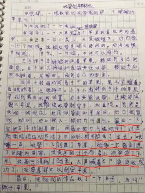 小学二升三年级作文的关键是什么