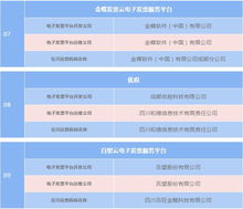 四川省电子税务局