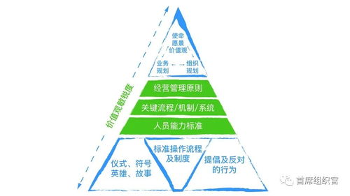 左谦 房晟陶 HR如何提升组织洞察力