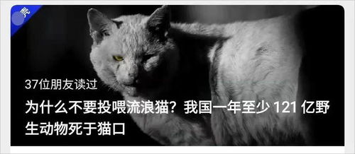 读 流浪猫战争 有感 百亿杀手竟能把鸟类杀成负数