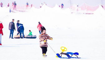 滑雪 戏雪,带孩子去深度体验雪的魅力,这里是孩子的童话世界,冰雪乐园 