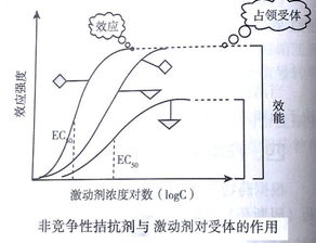 受体理论与药物效应动力学