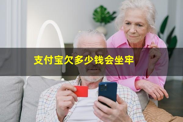 支付宝欠多少钱会坐牢